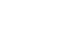 Ceramic Pro